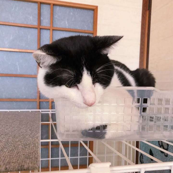 F12ba28e 3426 42fd 880e 738d90ca7892