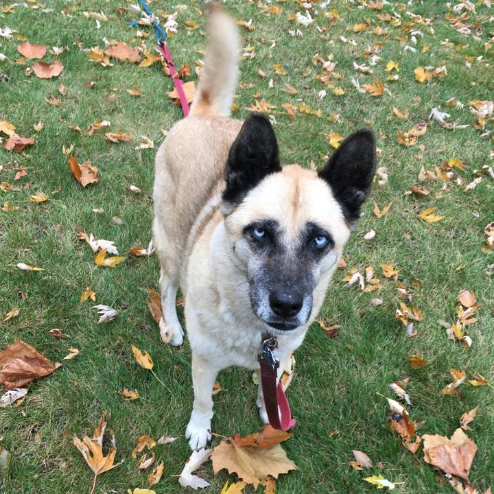 F12bade5 ae0c 4662 9aa4 1124d52958a6