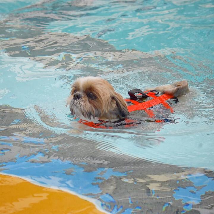 F12bc789 4cdd 4103 91e5 db4c96d0d08e