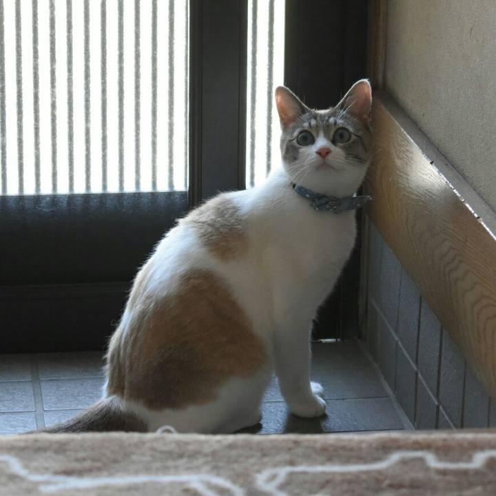 F12c27c2 415f 48fa 8147 235881a2dff6