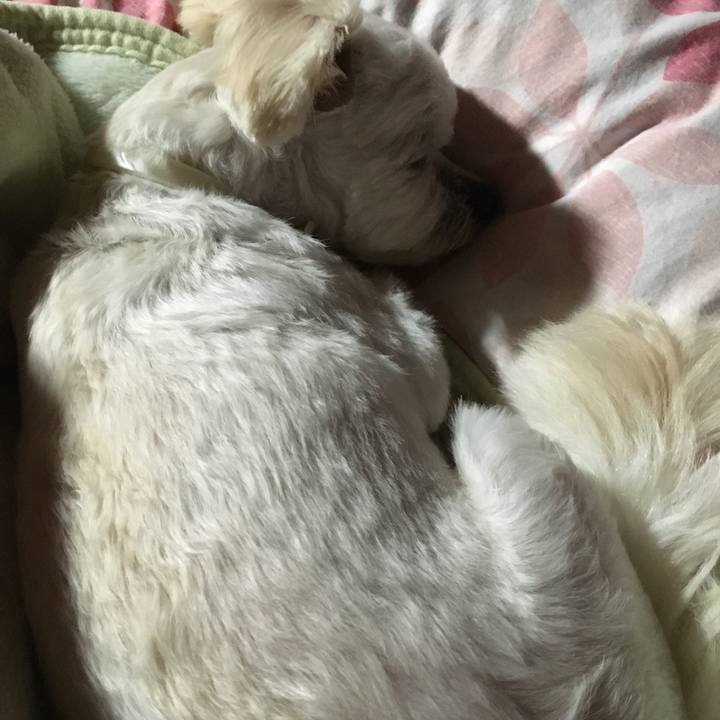 F12ceb38 de88 41cb a8c9 4b260999fe39