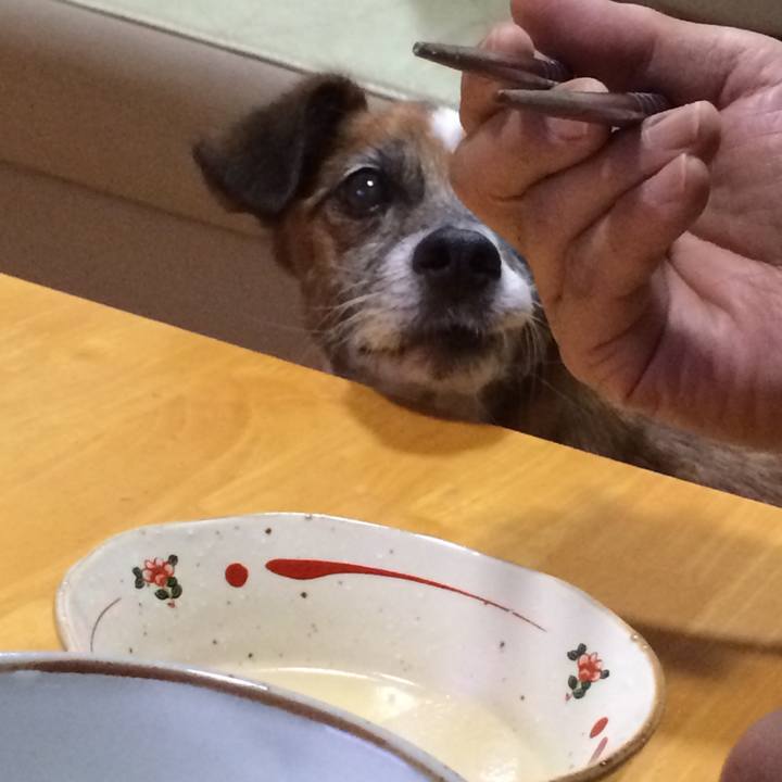 F12d178d c5aa 42da 91b7 85ebf7a374f0