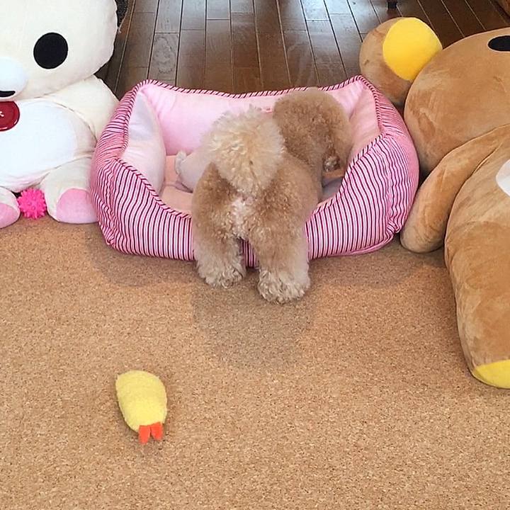 F12d3433 6714 46bc 8fc8 d1d8484e0c02