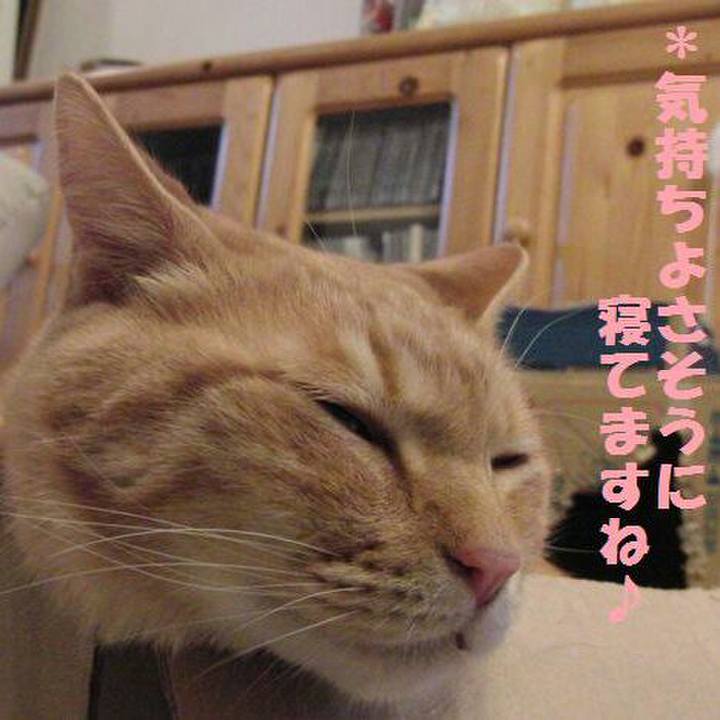 F12d83c8 fbd7 46da 81e2 71ad555fb5f2