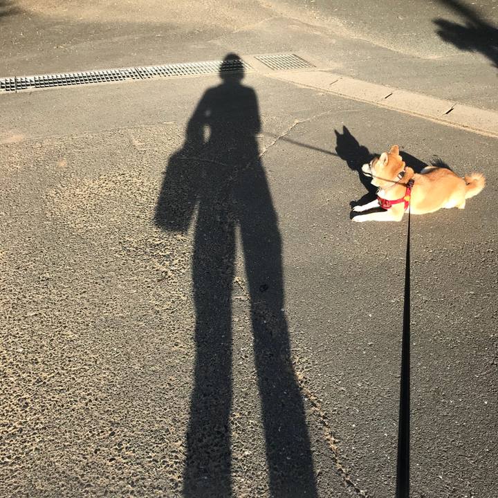 F12e3582 2461 4cd0 8503 5ab625affce6