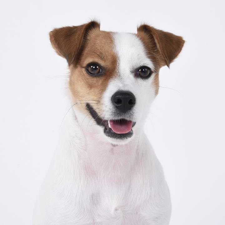 F12e7515 8bcb 492d 9177 009ed69c49d1