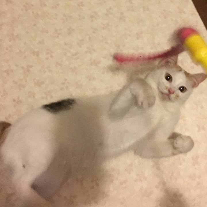 F12eb16c cf63 4510 8779 aa743fffd551