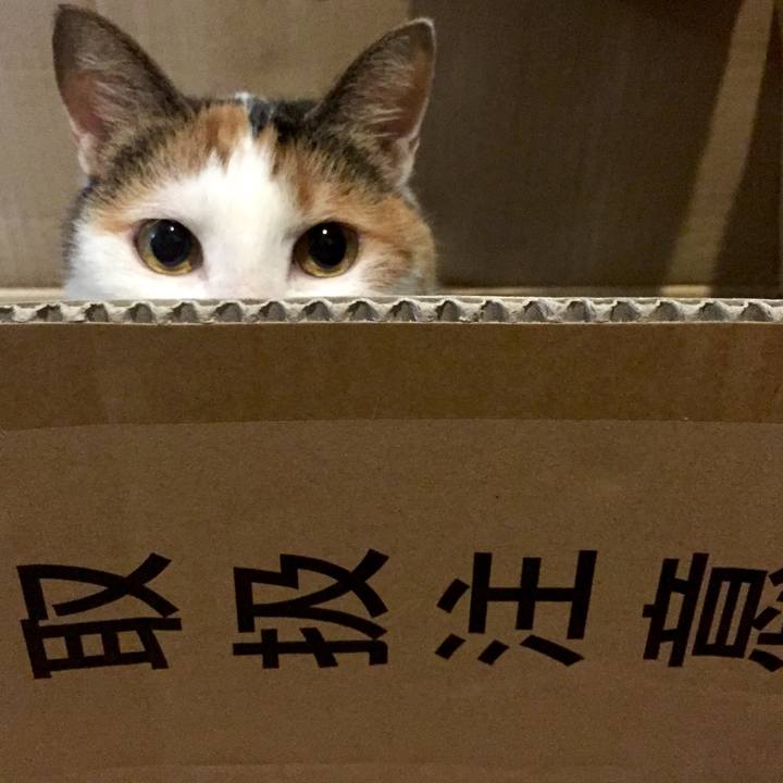 F12f28d1 9283 46a4 94bc b453f38eff4e