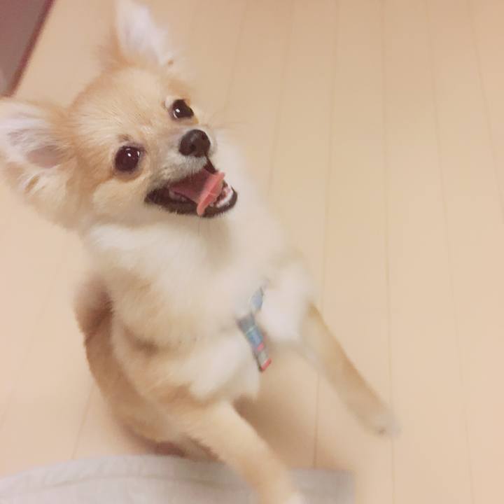 F12f2bc8 a423 4e39 a8fb f54db64c84da