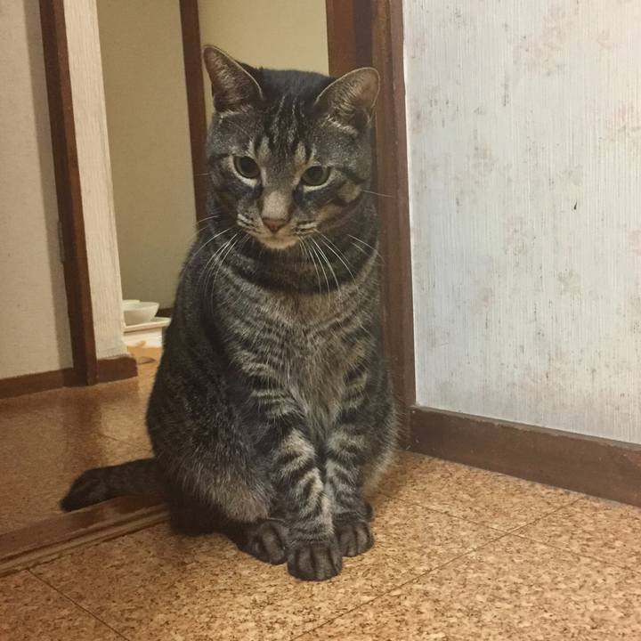 F12f4b46 e989 43b7 8791 8d1fe72d0112