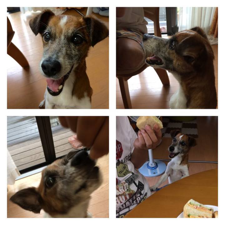 F1301a68 a9fa 4c70 9664 405614affa9a