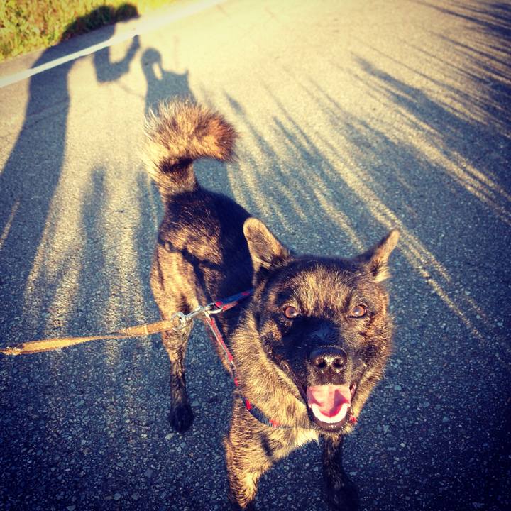 F1301f10 a0c0 4534 960d 6ec51c02781d