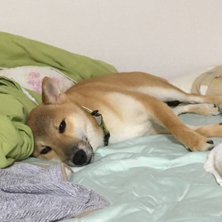 F130f0f1 2a91 4fee afd0 69e9eb11911a