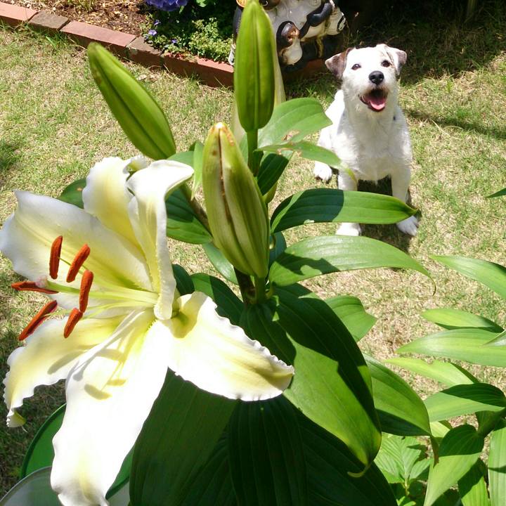 F131eef7 9c9b 433e 8c44 cd2957cbdb45