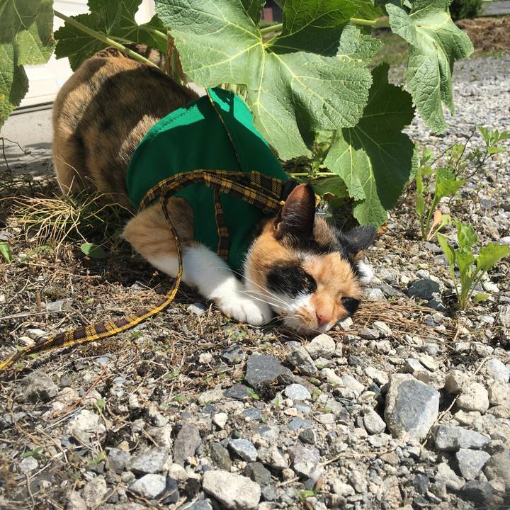 F1322f87 341b 45d2 a464 f39eb0252052