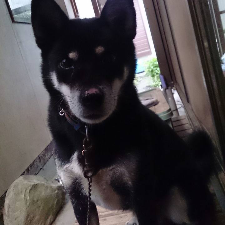 F13257d8 c87b 4010 ab70 7ec94fe99798