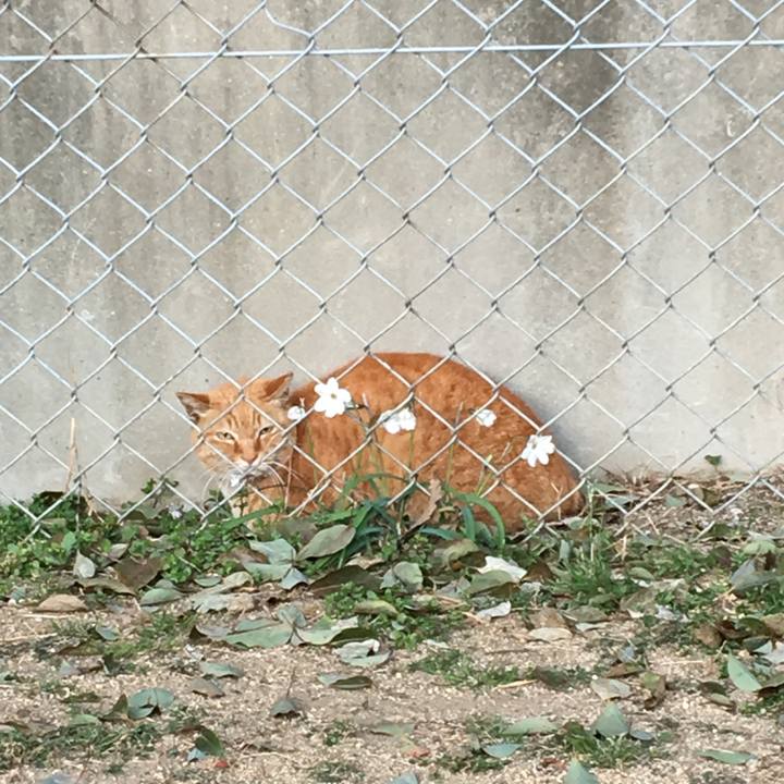 F132ca4d 6ed7 4665 826f f973267b0ed1