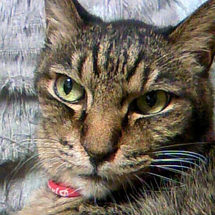 F132cb1e c9b6 42d4 b248 838e4c904159