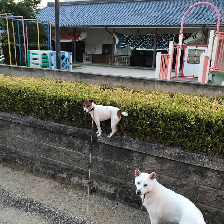 F132d9df c902 4c87 a8a7 30e56270dbcf