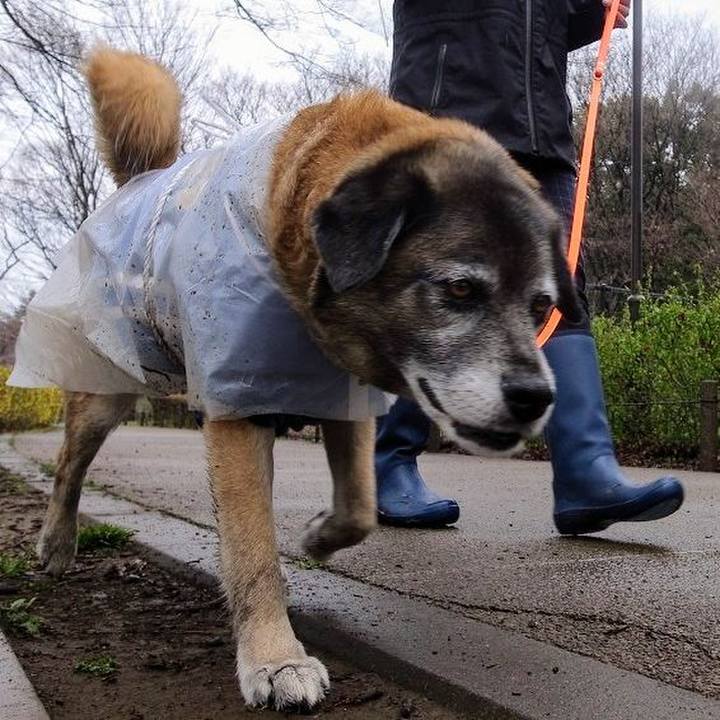 F132e515 5263 46d2 bed7 0ea26671092d