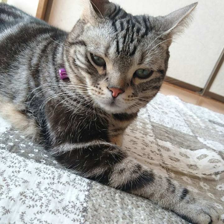 F132f747 0b07 4e31 9739 a23be0aacb44