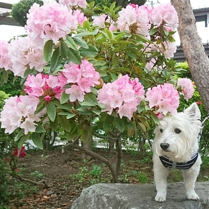 F132f947 c5ad 4e48 9e72 8ac1362bacae