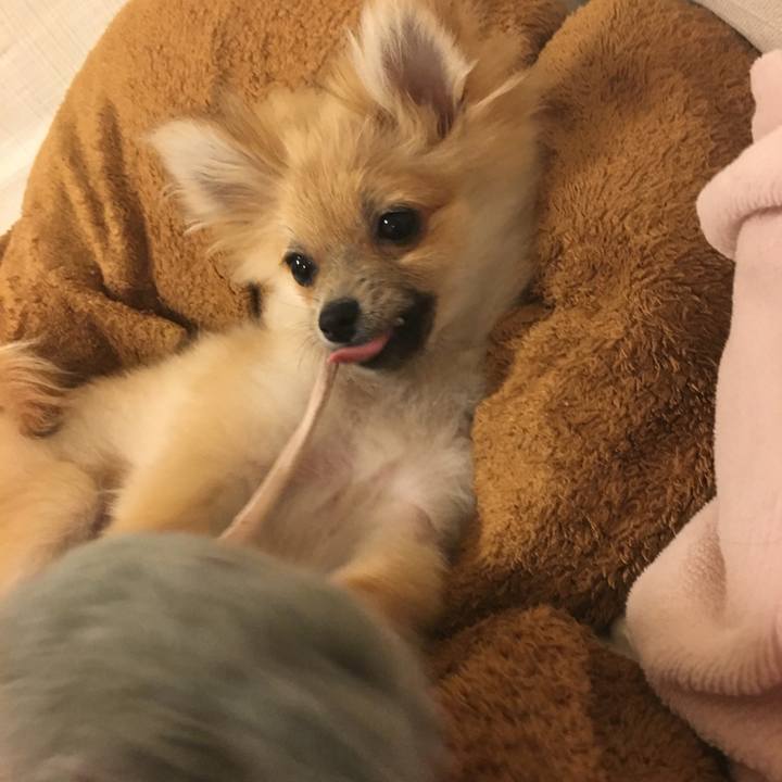 F133a8d6 506c 4978 ba71 1fb8994ce5db