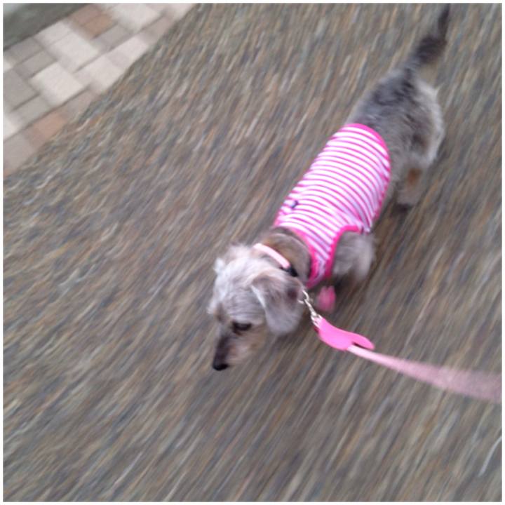 F134565f 6c4a 42fa 9fec b77f3ecec669