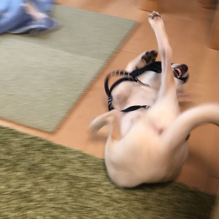 F13518af bf7f 4c76 8d46 8f12d38b0e2c