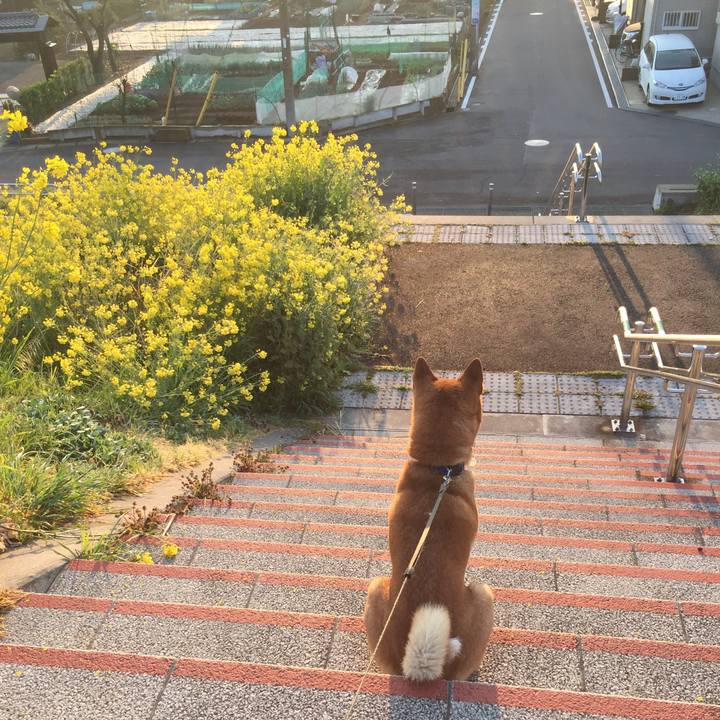 F135eb9e 2ff3 4b34 9ffc 84c71be3cc37