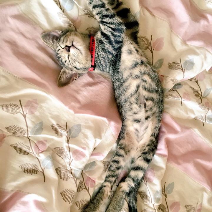 F136cb5e bc46 4f5e bc35 957cdd04d28e