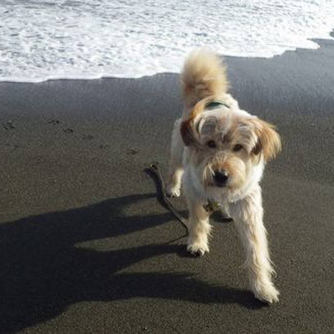 F136f31d 5b83 4674 96d0 1210e836a74c