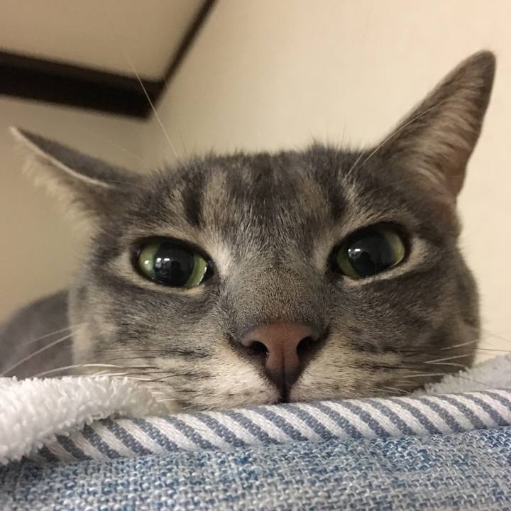 F13773b0 588f 44f7 a8fe 8dbd9a1fc8a0