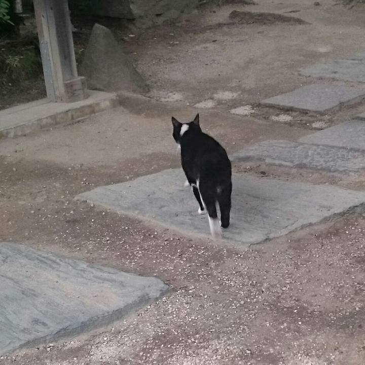 F137820f 8a58 48ba 950f b2e033112018