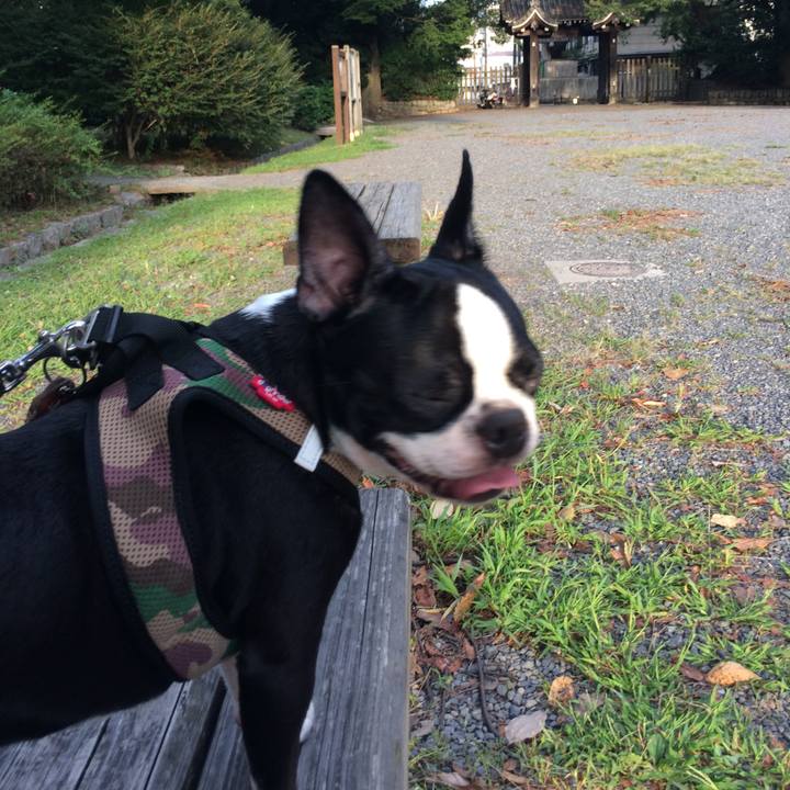 F138fdad eb98 4cd6 a09e 2126ce4a7ed6