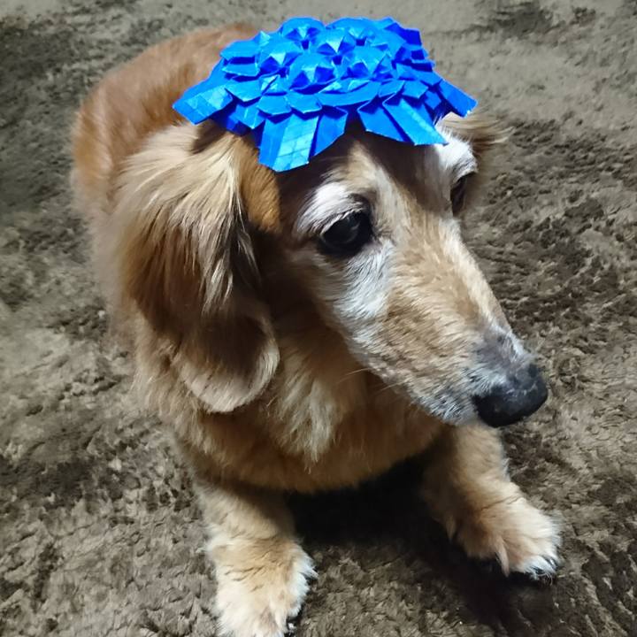 F1392afb 6bf6 46d2 9aca 1e5c5184b278