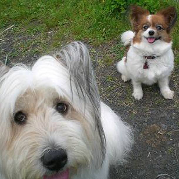 F139697d a003 46f2 b085 336242aeabc0