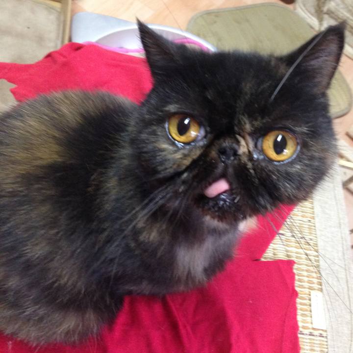 F139ac76 d48a 4295 af20 b41410285f65