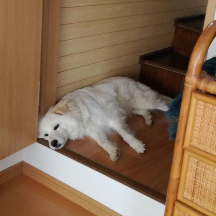 F139cc32 ff16 41e0 a7b3 1395940b5b30