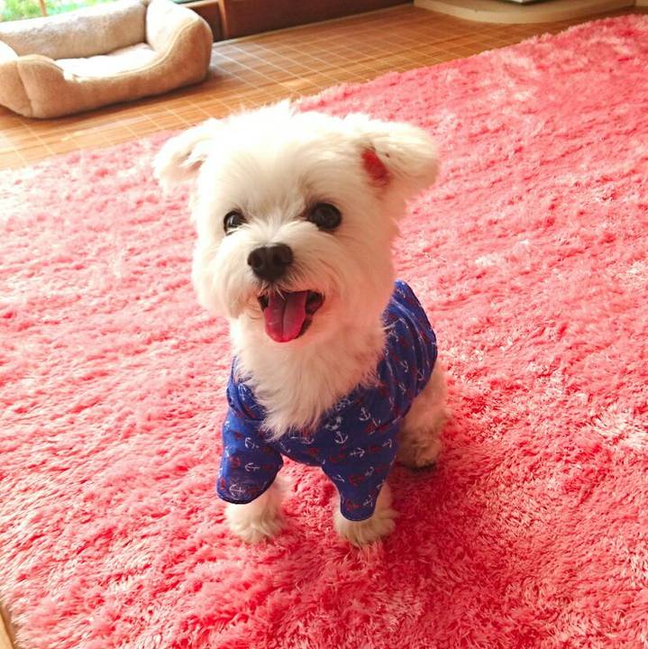 F13a170a f1a0 4773 958e b3acc9005794