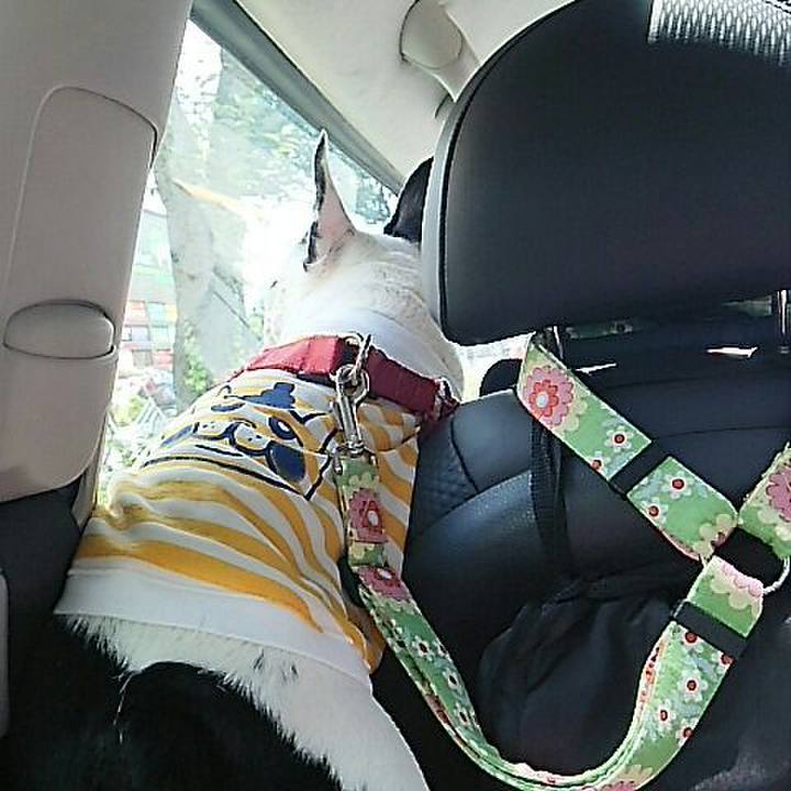 F13a2b70 3127 403d 8fad 42371613b77c