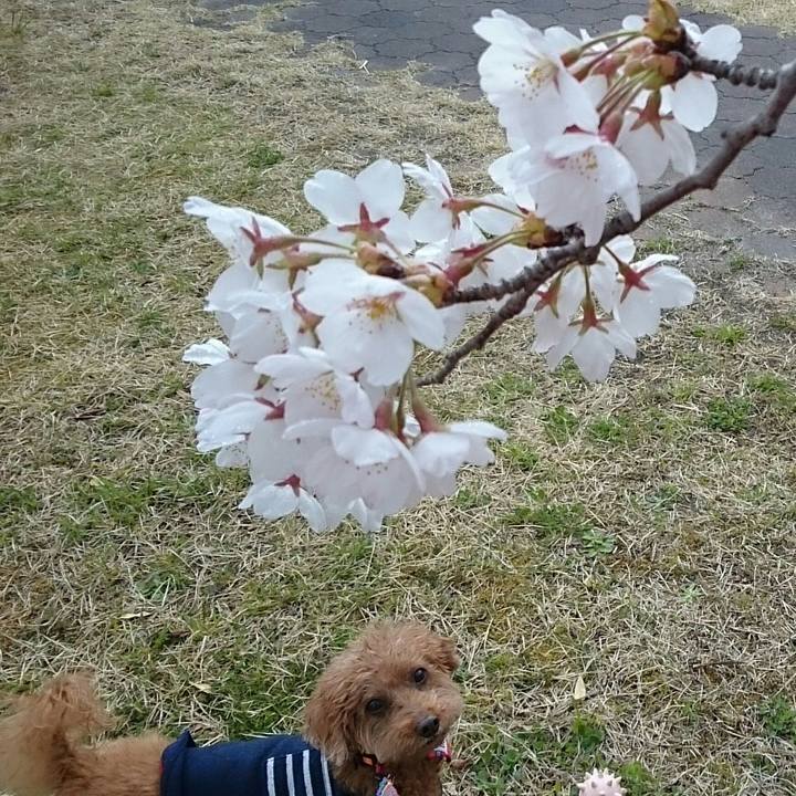 F13a3948 86aa 470f 956d ab3119b8132e