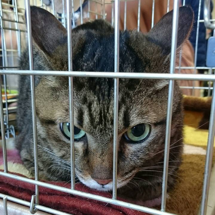 F13aa8fc 3c3c 42ee b78a 92215e52f5cc