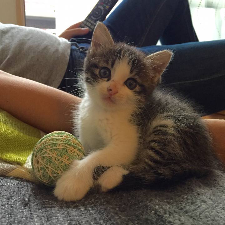 F13ac56e fcb2 4c1d 97de 2e2c578f1499