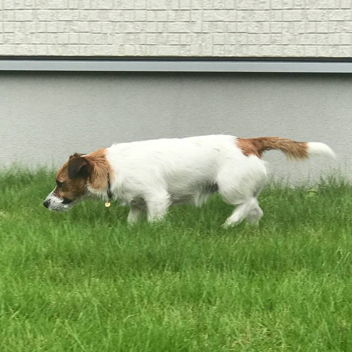 F13ad6d7 aef4 4b55 903e d3962af33092