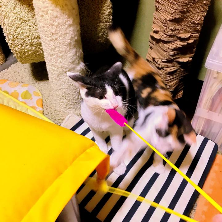 F13b9418 32a9 4436 b029 db32e5658e6c