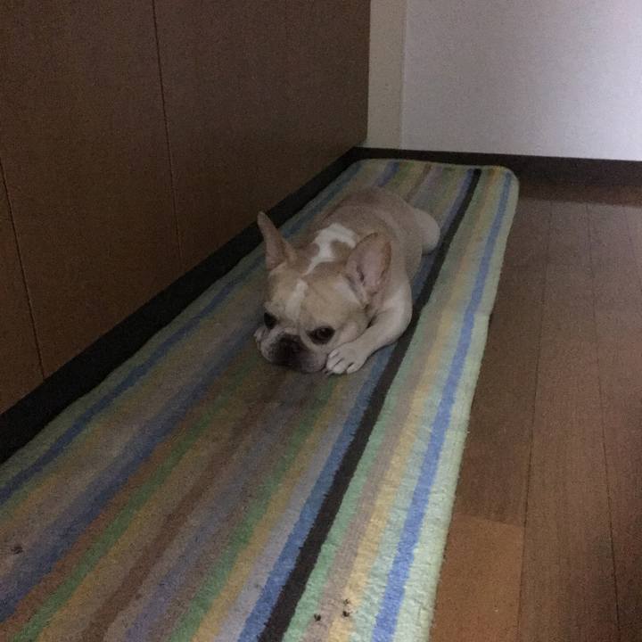 F13c1431 1a23 4ac5 8554 4431b75671e6