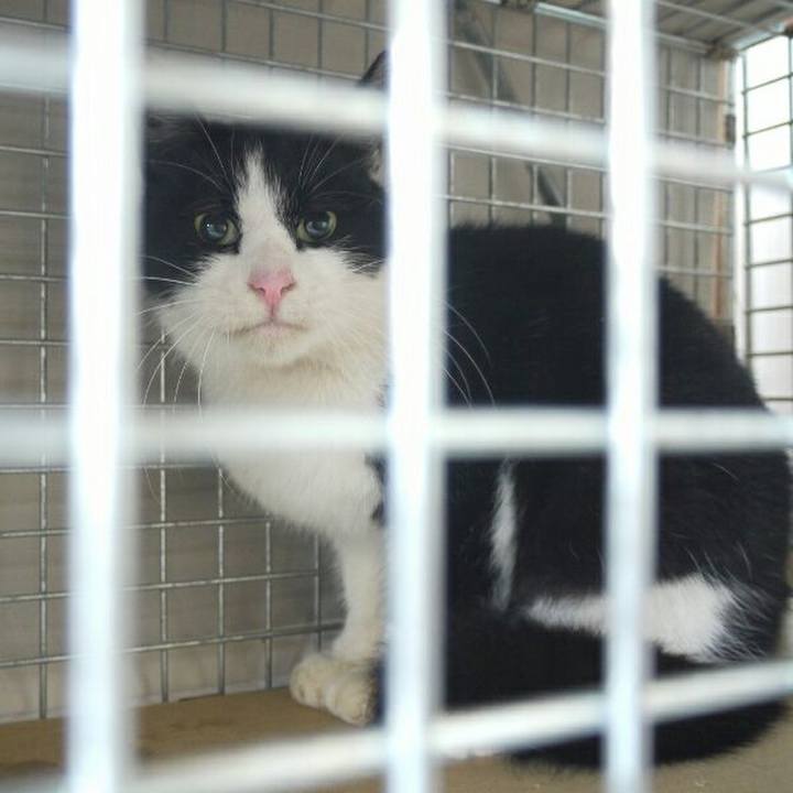 F13c68af 9675 4928 9942 cc90eb6d80f3