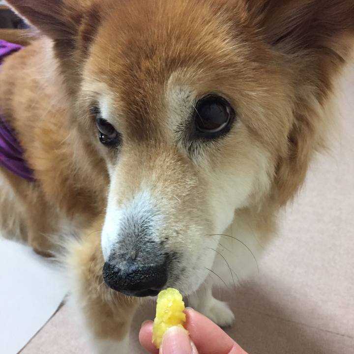 F13cf10d 7a07 48ca b302 6655b65a7bd6