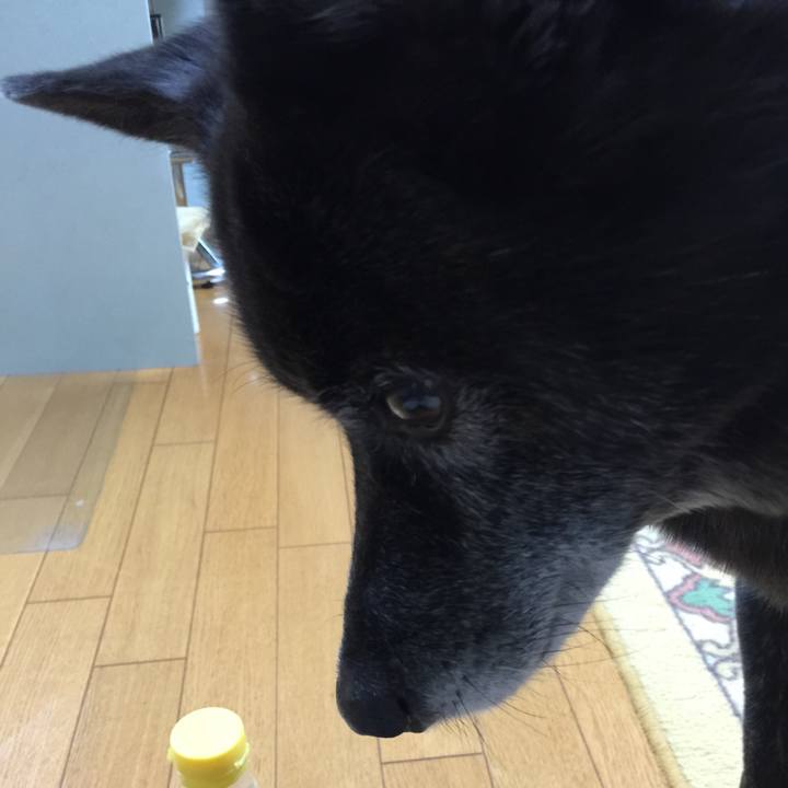 F13d0435 0816 4a0a abd2 f61640d905a5